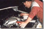 Technician At Work